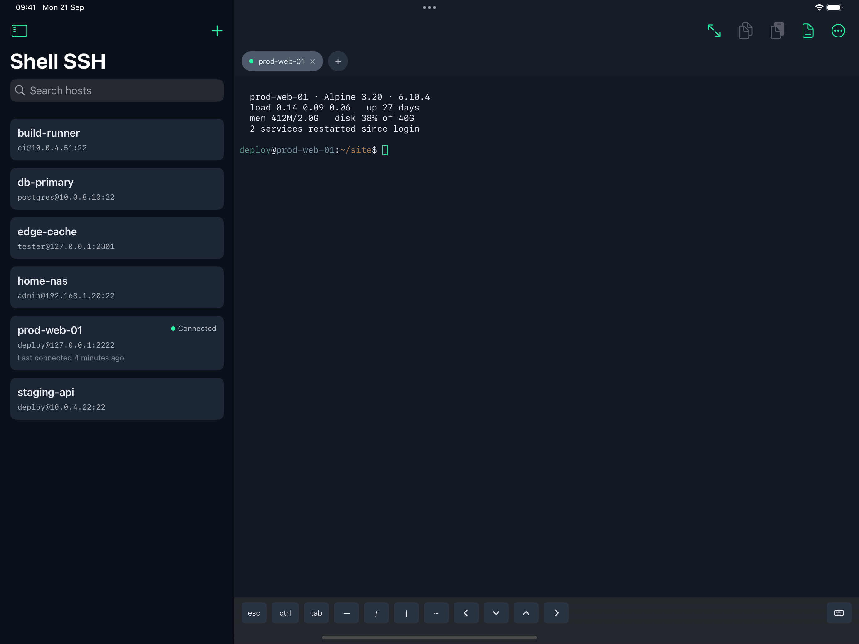 Shell SSH on iPad with the host list beside a live terminal session, split by a draggable divider.