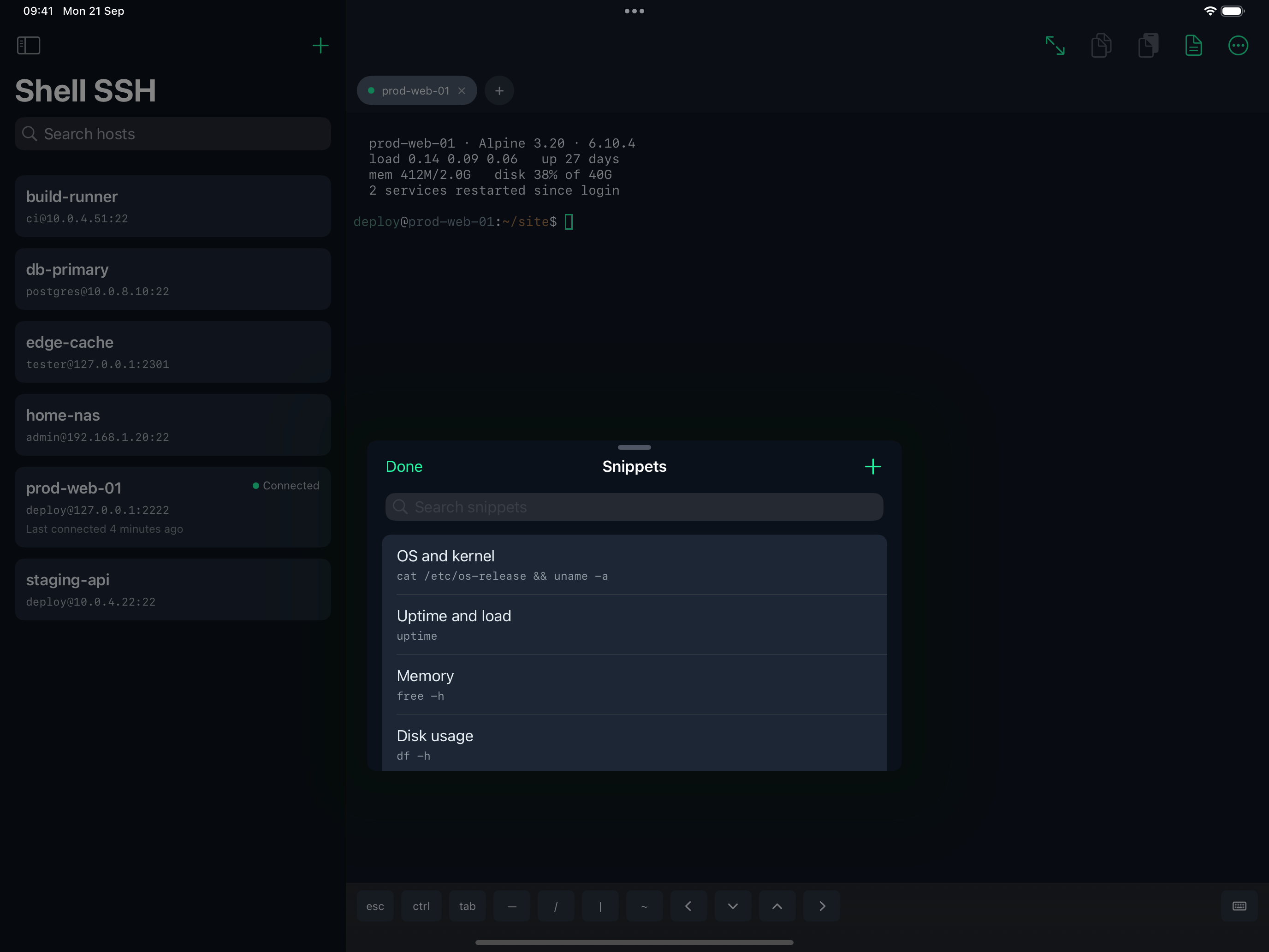 The snippet library on iPad, showing saved commands alongside a terminal.