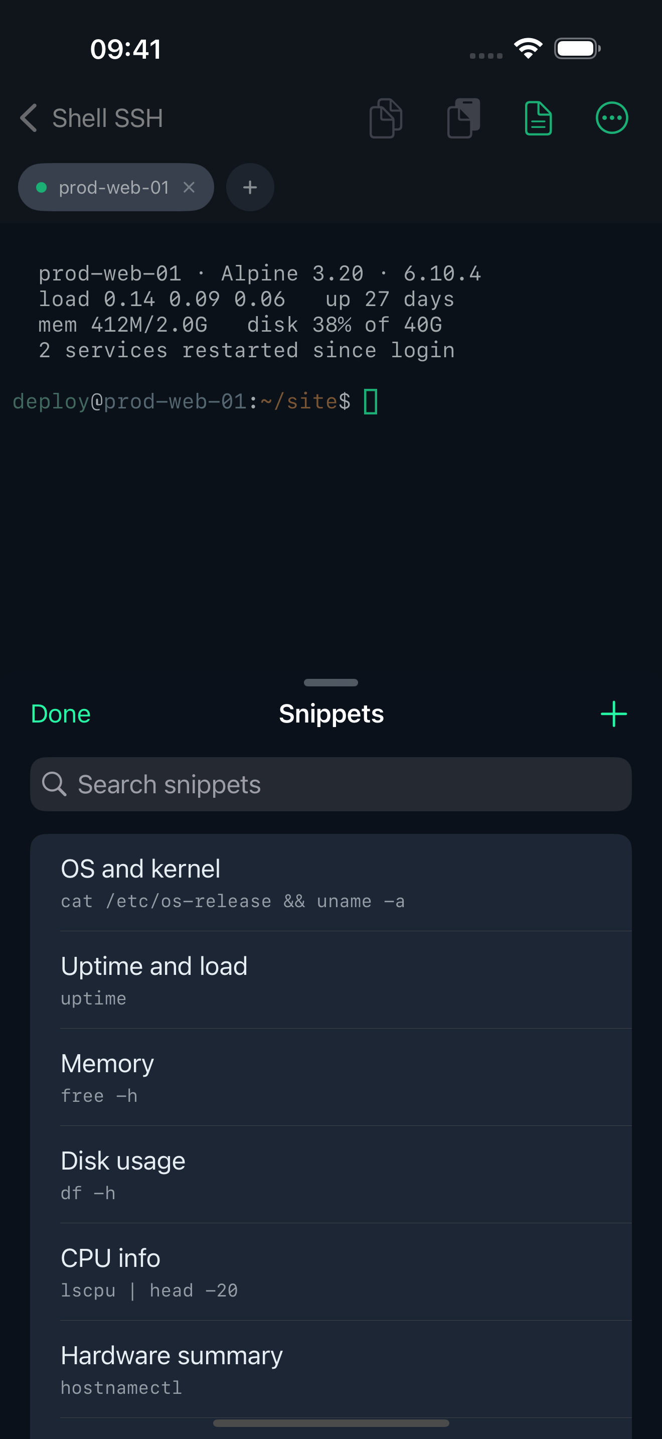 The snippet library open as a sheet over a running terminal session, listing saved commands with a search field.