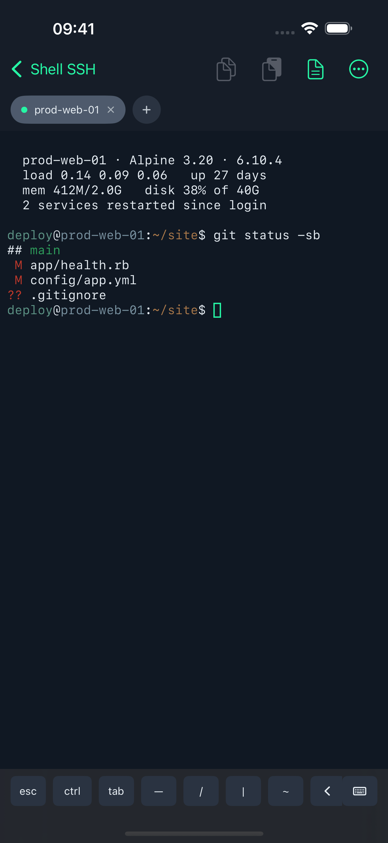 A live SSH session in Shell SSH on iPhone, with git status run from a snippet and its output shown in colour, above the key row.