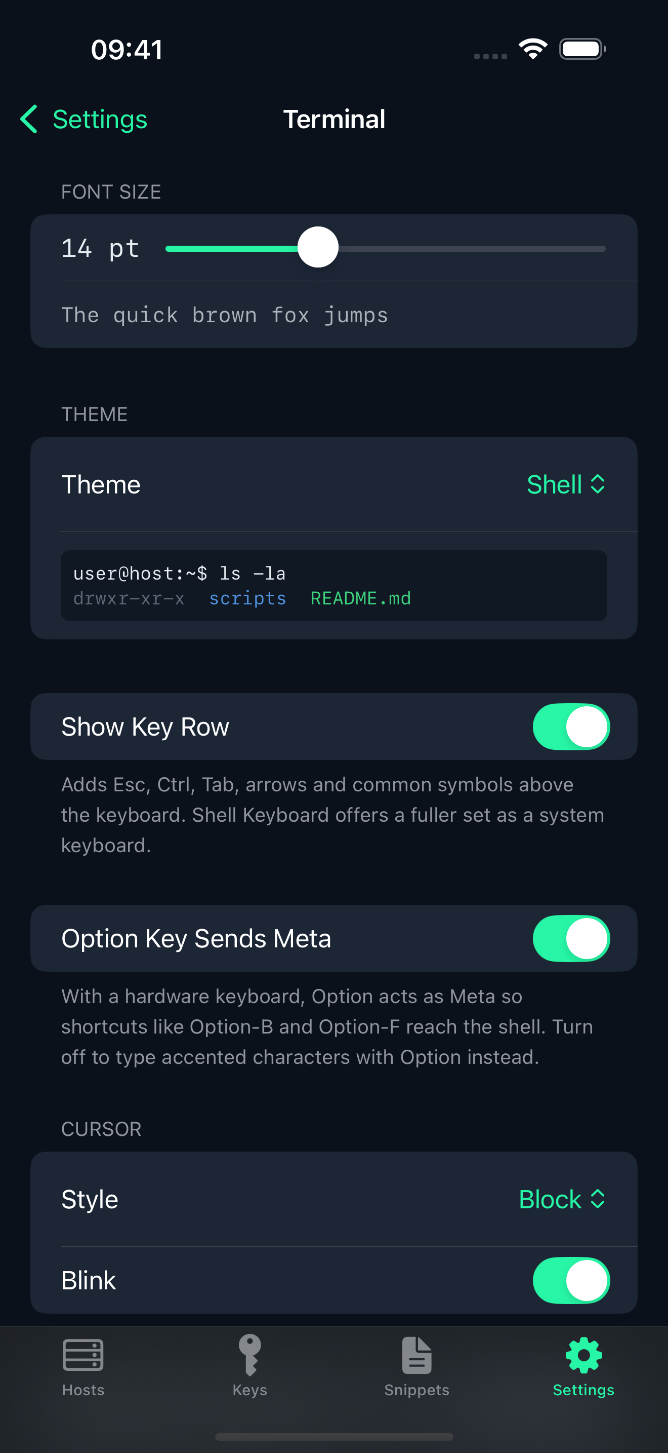 The appearance settings: terminal font size, colour theme and key row options.