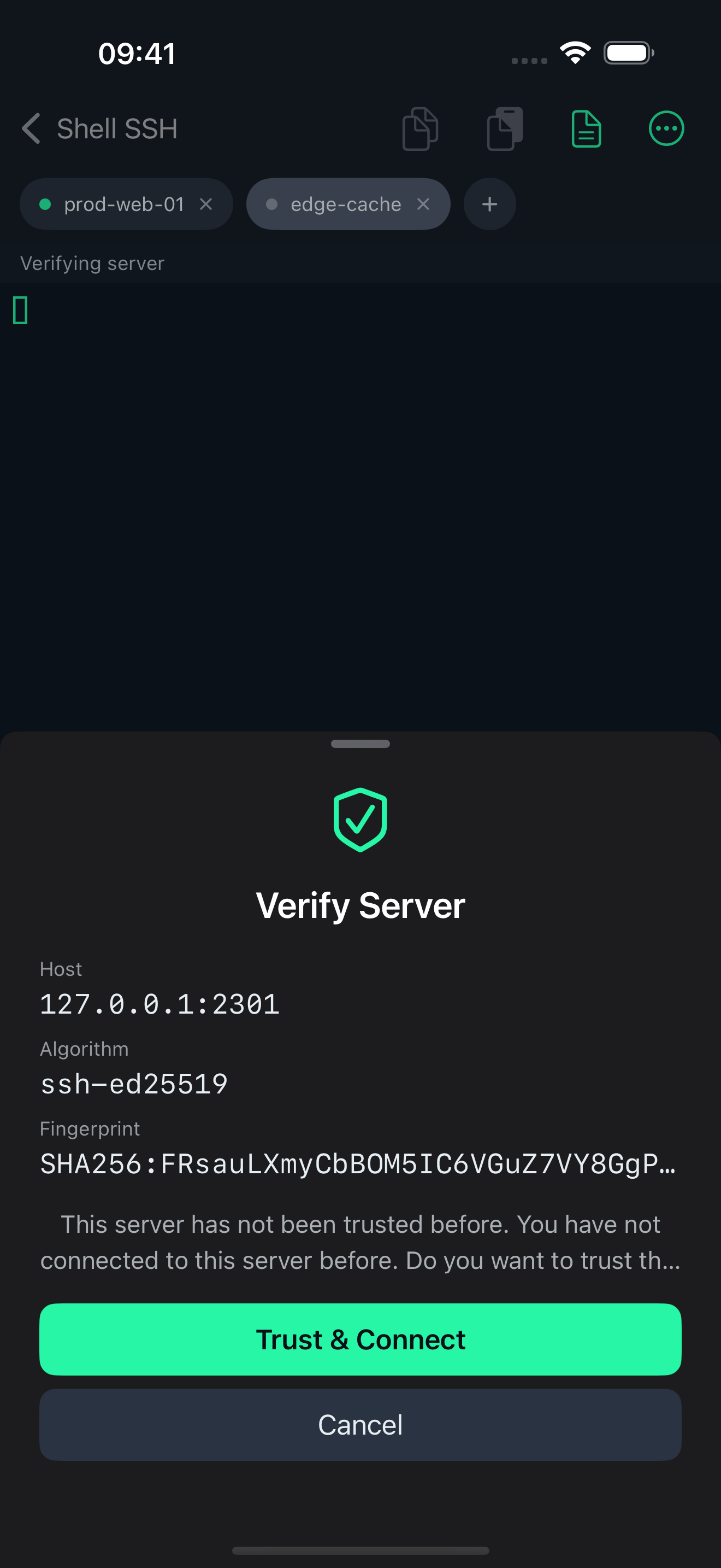 The host key verification prompt shown on a first connection, displaying the server's SHA-256 fingerprint with accept and reject actions.
